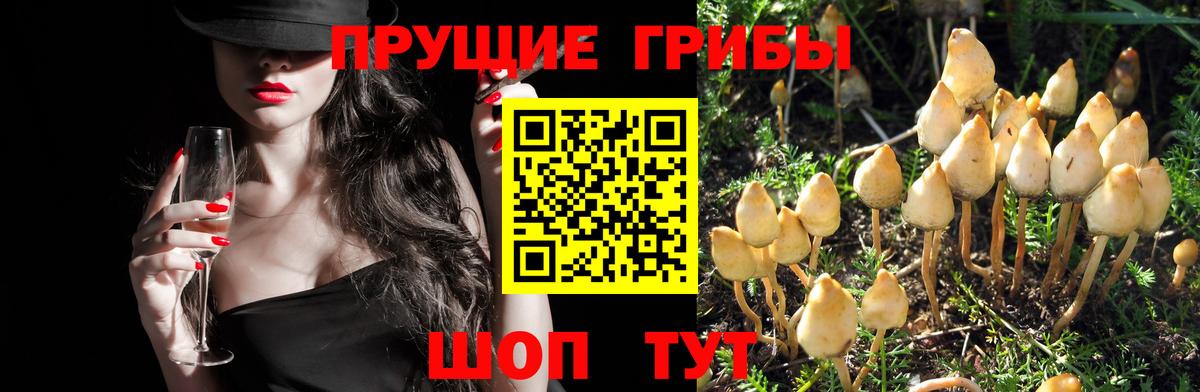 Бошки Шишки  Вход с VPN  Алексеевка  Лсд 25  ГАШ  Cocaine  Альфа ПВП СОЛЬ   Меф МЯУ МЯУ кристаллы 
